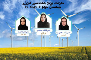 برترین‌های مهندسی انرژی دانشگاه صنعتی بیرجند معرفی شدند